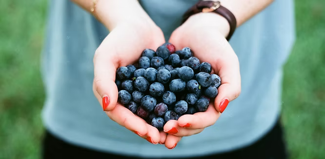 Natural Ways to Support Your Immune System