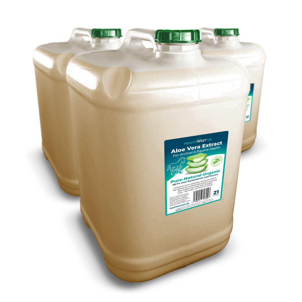 21L Organic Aloe Vera Extract for Animals & Equine Health image 1